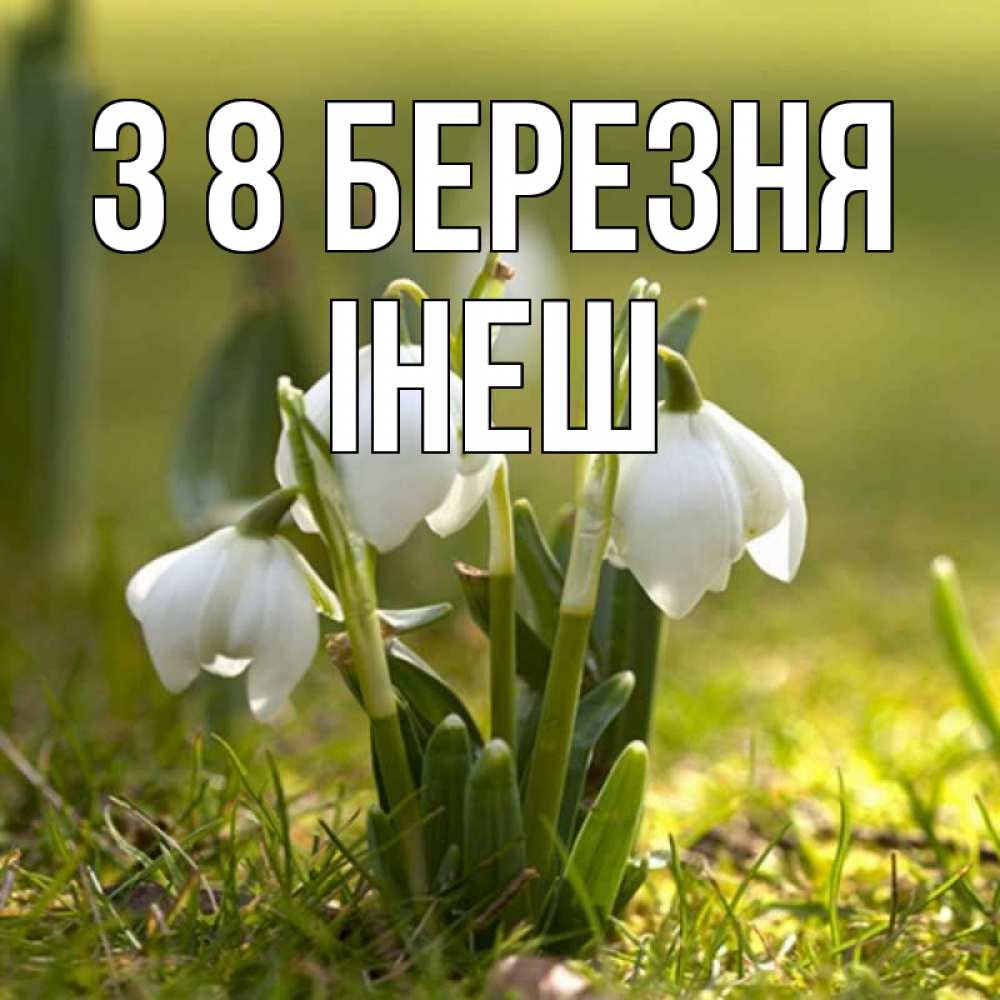 Открытка на каждый день з підписом, Інеш З 8 БЕРЕЗНЯ ранние цветы 2 Прикольна листівка з побажанням онлайн скачати безкоштовно 