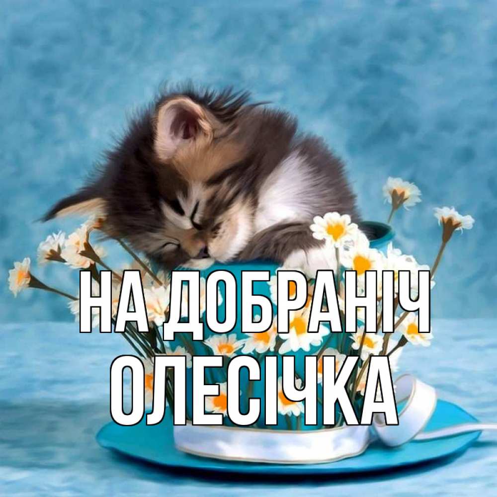 Открытка на каждый день з підписом, Олесічка На добраніч котенок спит в кружке с блюдцем Прикольна листівка з побажанням онлайн скачати безкоштовно 