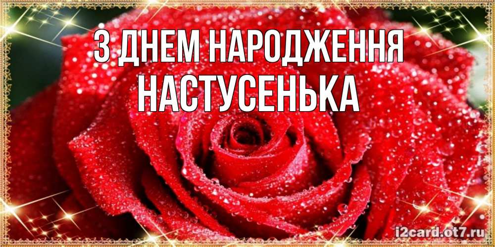 Открытка на каждый день з підписом, Настусенька З Днем народження роса и роза. открытка с красивой розой Прикольна листівка з побажанням онлайн скачати безкоштовно 