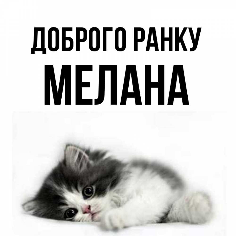 Открытка на каждый день з підписом, Мелана Доброго ранку кот лапки Прикольна листівка з побажанням онлайн скачати безкоштовно 