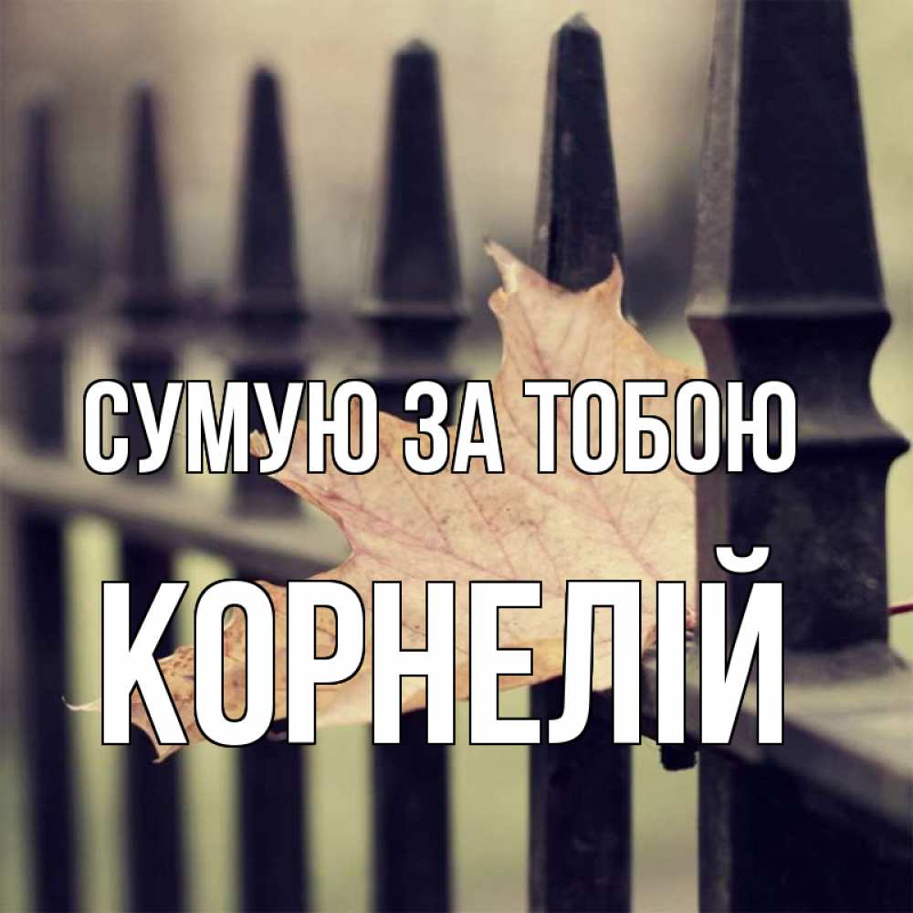 Открытка на каждый день з підписом, Корнелій Сумую за тобою очень скучно Прикольна листівка з побажанням онлайн скачати безкоштовно 