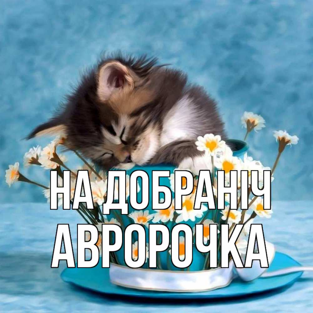 Открытка на каждый день з підписом, Авророчка На добраніч котенок спит в кружке с блюдцем Прикольна листівка з побажанням онлайн скачати безкоштовно 