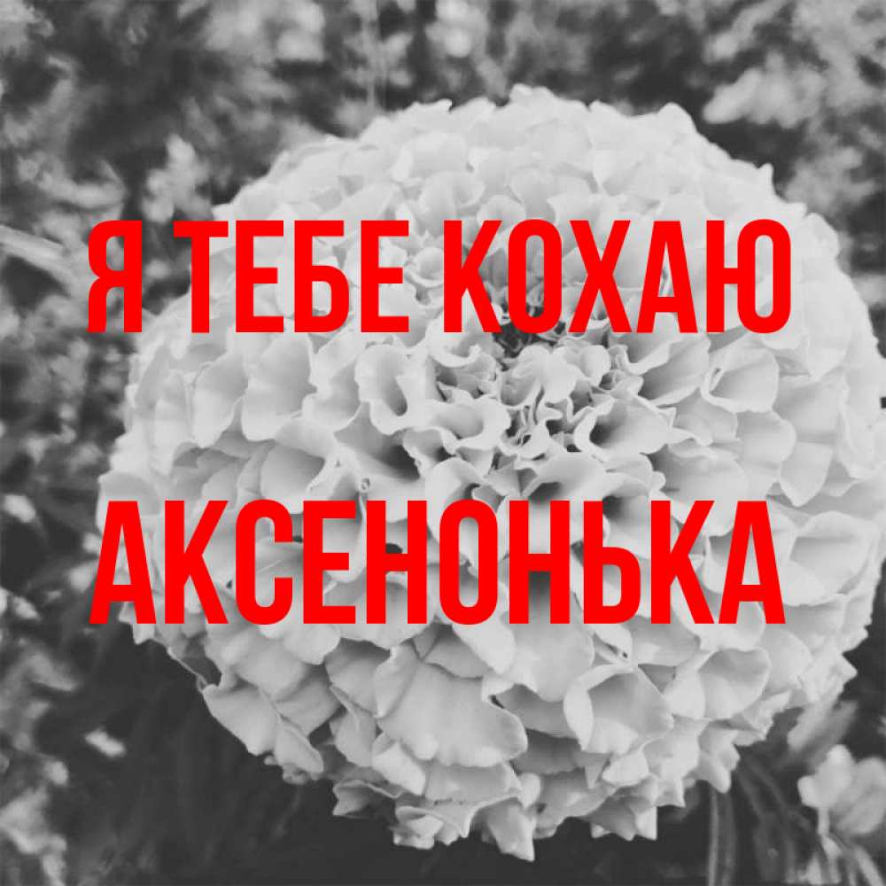 Открытка на каждый день з підписом, Аксенонька Я тебе кохаю подпись Прикольна листівка з побажанням онлайн скачати безкоштовно 