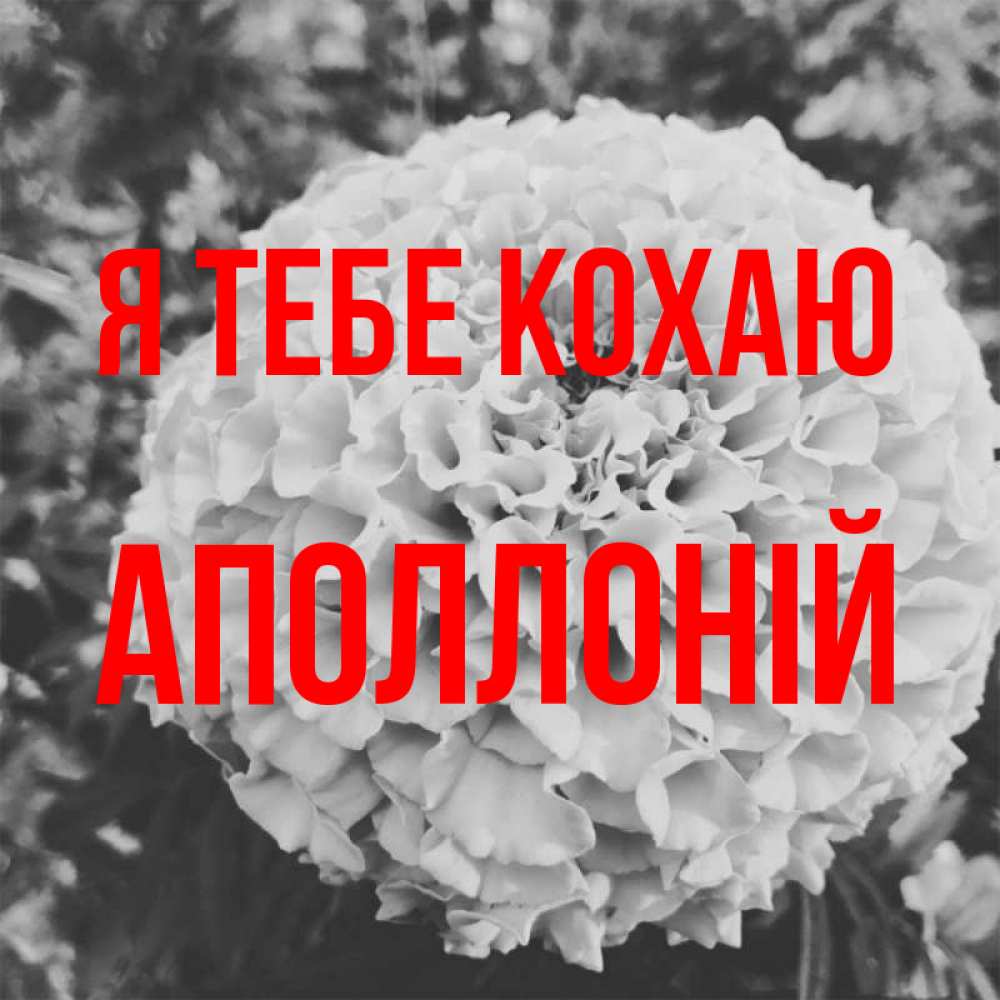 Открытка на каждый день з підписом, Аполлоній Я тебе кохаю подпись Прикольна листівка з побажанням онлайн скачати безкоштовно 