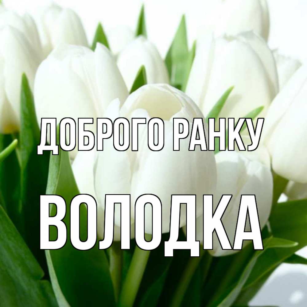 Открытка на каждый день з підписом, Володка Доброго ранку открытки на каждый день по именам Прикольна листівка з побажанням онлайн скачати безкоштовно 