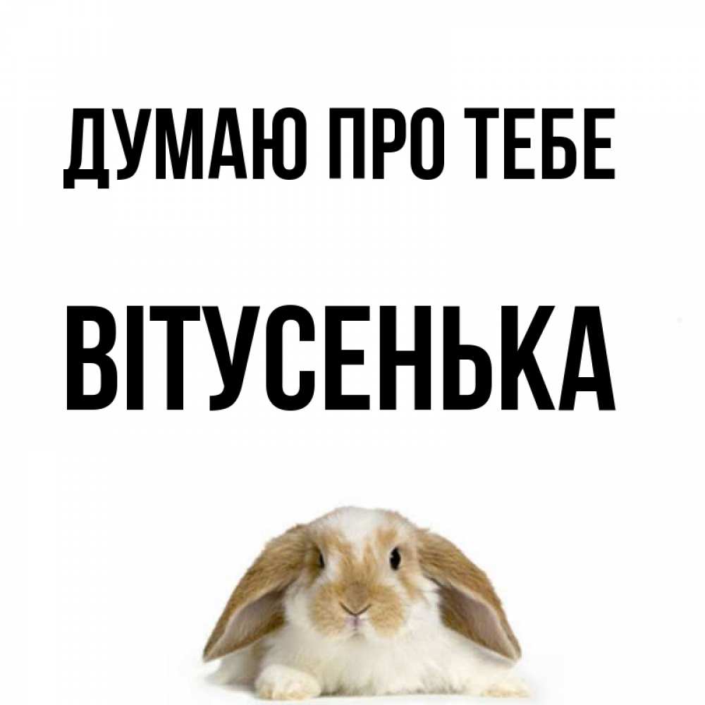 Открытка на каждый день з підписом, Вітусенька Думаю про тебе подписать своими руками онлайн Прикольна листівка з побажанням онлайн скачати безкоштовно 