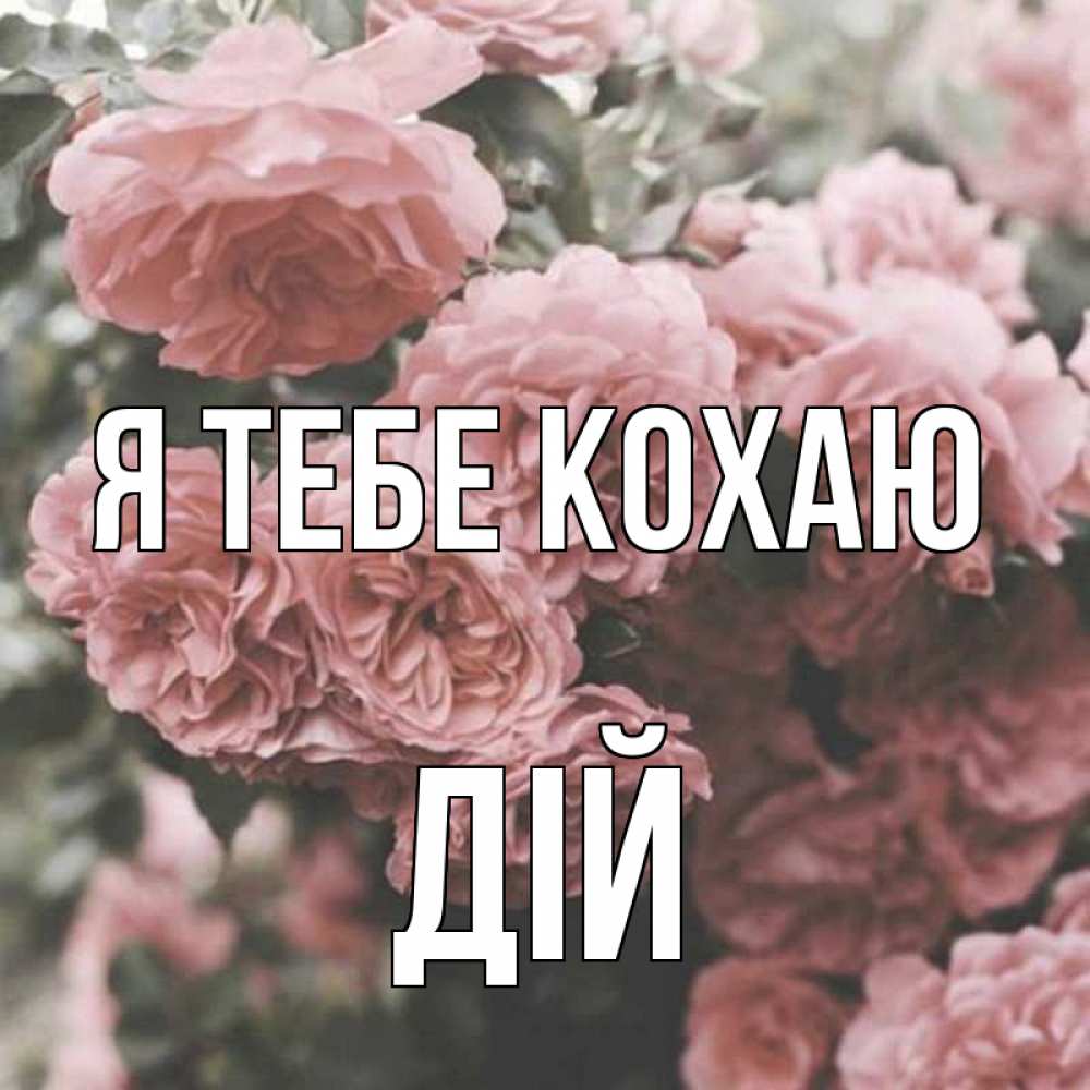 Открытка на каждый день з підписом, Дій Я тебе кохаю розы 3 Прикольна листівка з побажанням онлайн скачати безкоштовно 