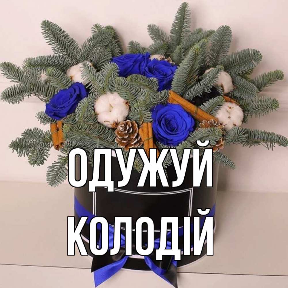 Открытка на каждый день з підписом, Колодій Одужуй короче кто то загрузил эти шишки Прикольна листівка з побажанням онлайн скачати безкоштовно 