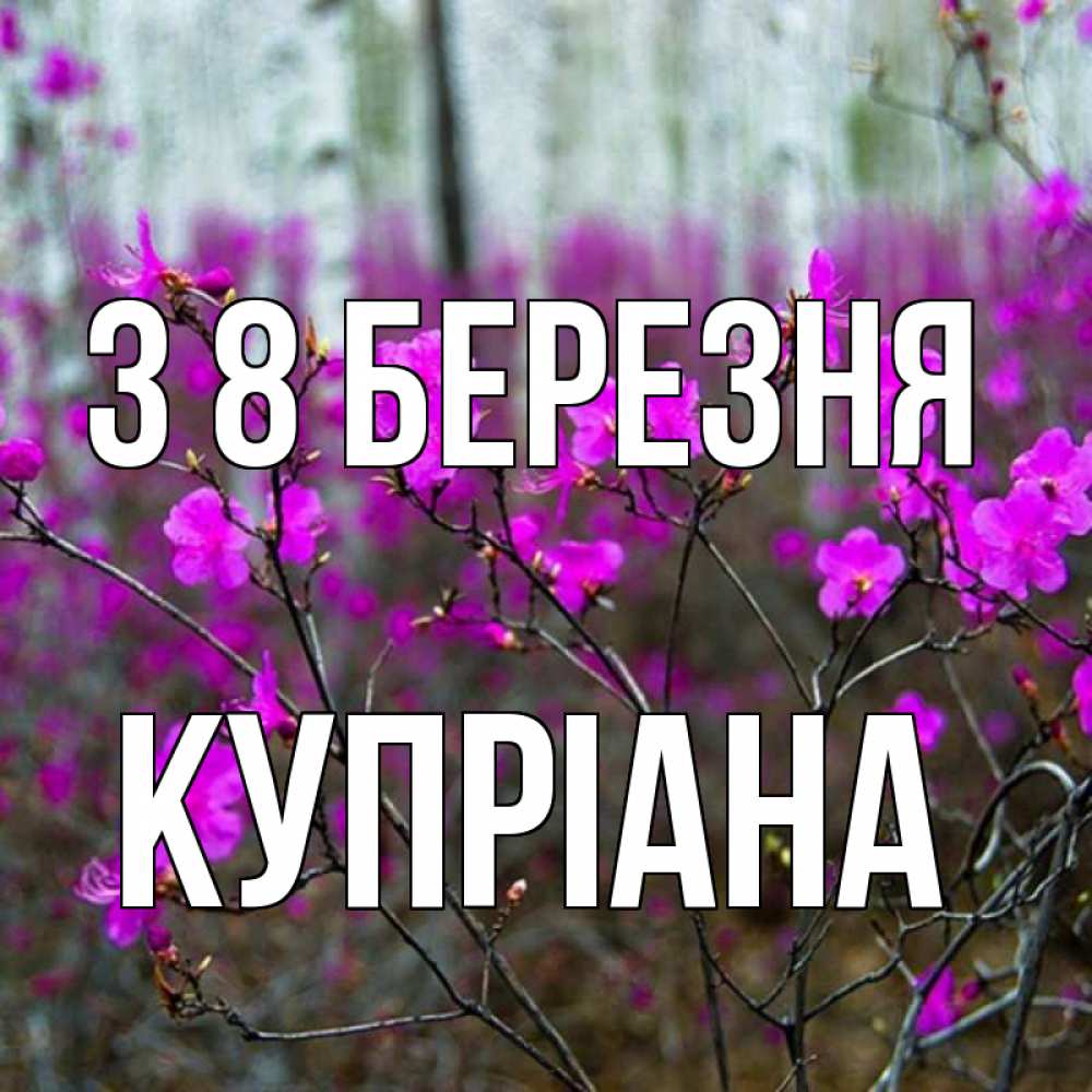 Открытка на каждый день з підписом, Купріана З 8 БЕРЕЗНЯ дикие цветы Прикольна листівка з побажанням онлайн скачати безкоштовно 