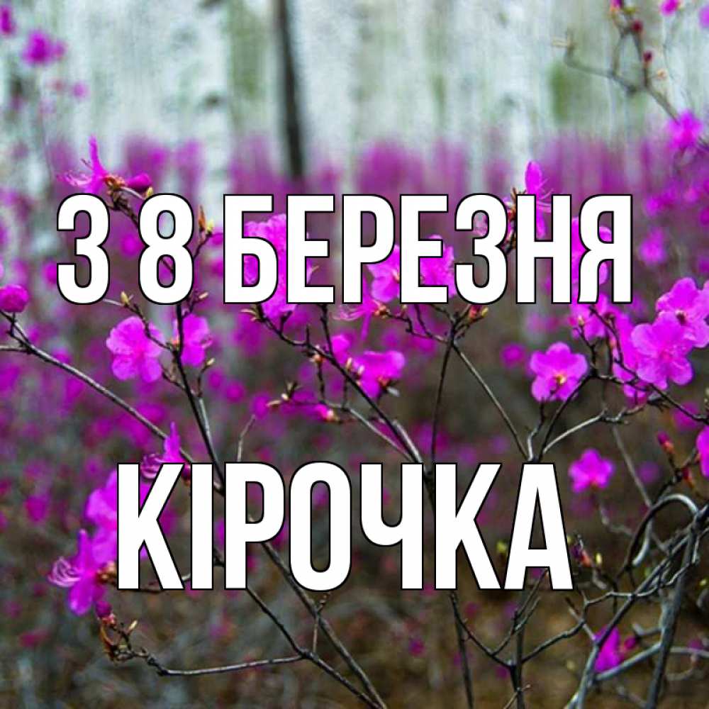 Открытка на каждый день з підписом, Кірочка З 8 БЕРЕЗНЯ дикие цветы Прикольна листівка з побажанням онлайн скачати безкоштовно 