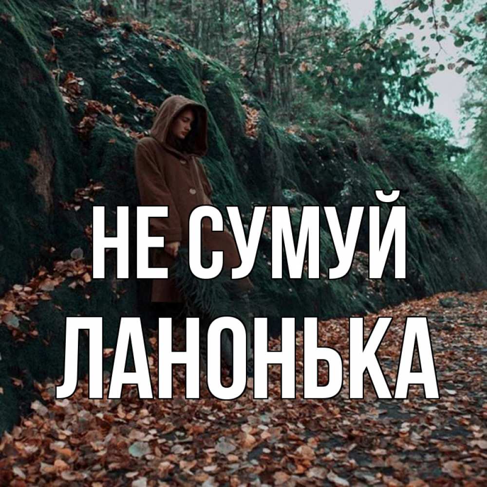 Открытка на каждый день з підписом, Ланонька Не сумуй осенний лес Прикольна листівка з побажанням онлайн скачати безкоштовно 