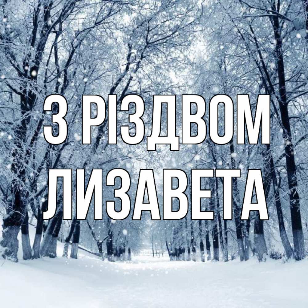 Открытка на каждый день з підписом, Лизавета З Різдвом снег, лес, парк Прикольна листівка з побажанням онлайн скачати безкоштовно 