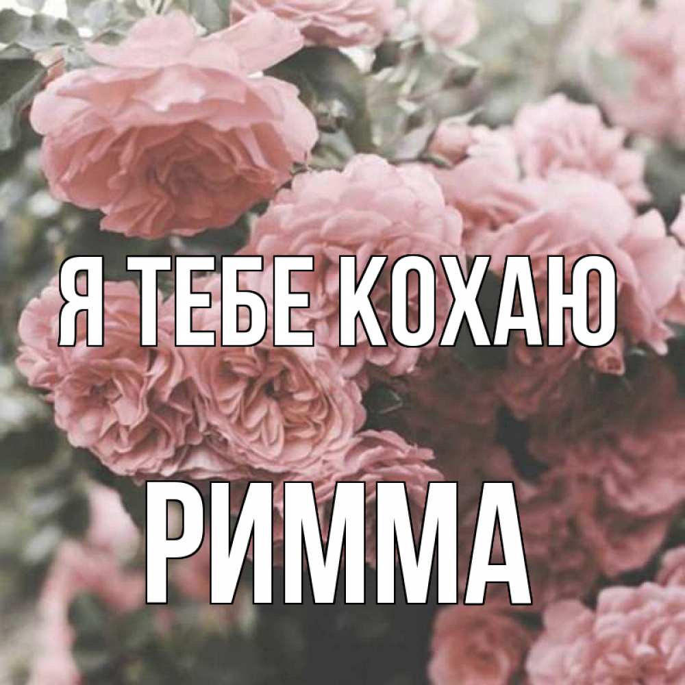 Открытка на каждый день з підписом, Римма Я тебе кохаю розы 3 Прикольна листівка з побажанням онлайн скачати безкоштовно 