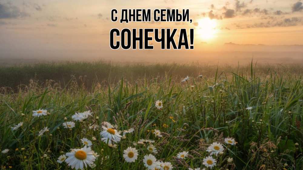 Открытка на каждый день з підписом, Сонечка С днем семьи с днем семьи Прикольна листівка з побажанням онлайн скачати безкоштовно 
