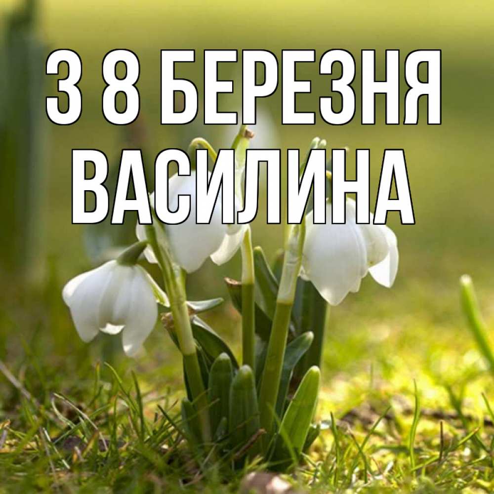 Открытка на каждый день з підписом, Василина З 8 БЕРЕЗНЯ ранние цветы 2 Прикольна листівка з побажанням онлайн скачати безкоштовно 
