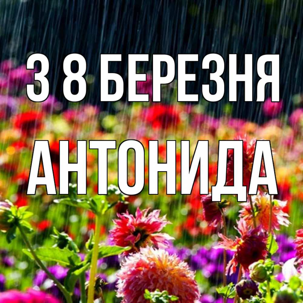 Открытка на каждый день з підписом, Антонида З 8 БЕРЕЗНЯ цветы под дождиком к международному женскому дню Прикольна листівка з побажанням онлайн скачати безкоштовно 