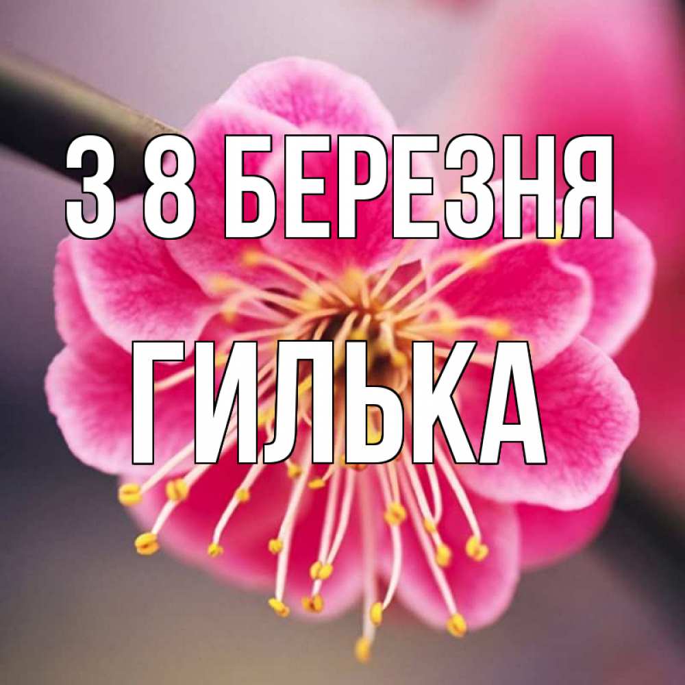 Открытка на каждый день з підписом, Гилька З 8 БЕРЕЗНЯ цветы Прикольна листівка з побажанням онлайн скачати безкоштовно 