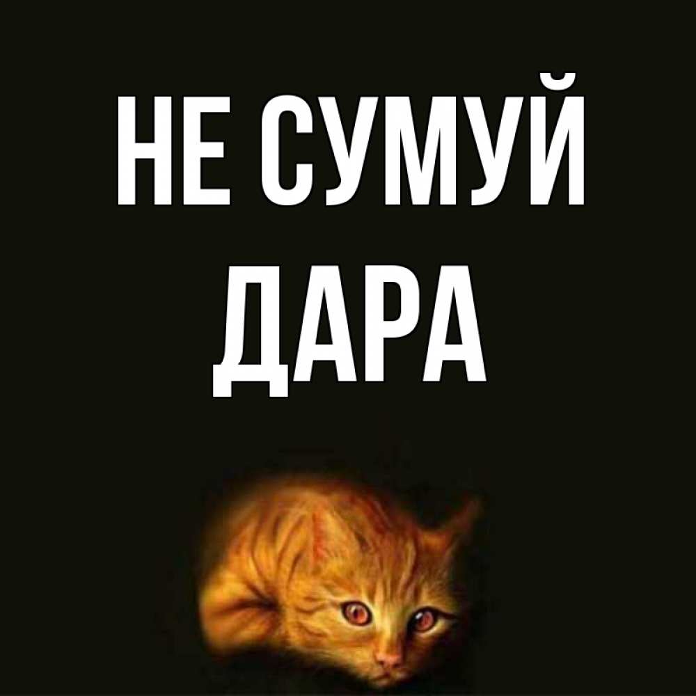 Открытка на каждый день з підписом, Дара Не сумуй лежащий кот в темноте Прикольна листівка з побажанням онлайн скачати безкоштовно 