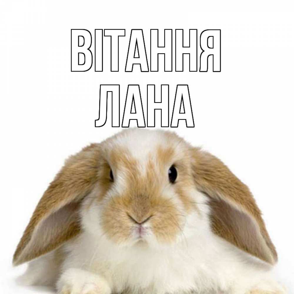 Открытка на каждый день з підписом, Лана Вітання с животными Прикольна листівка з побажанням онлайн скачати безкоштовно 