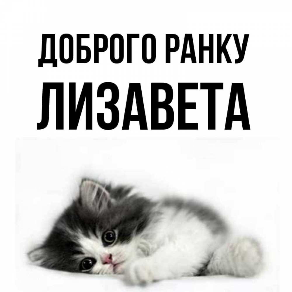 Открытка на каждый день з підписом, Лизавета Доброго ранку кот лапки Прикольна листівка з побажанням онлайн скачати безкоштовно 