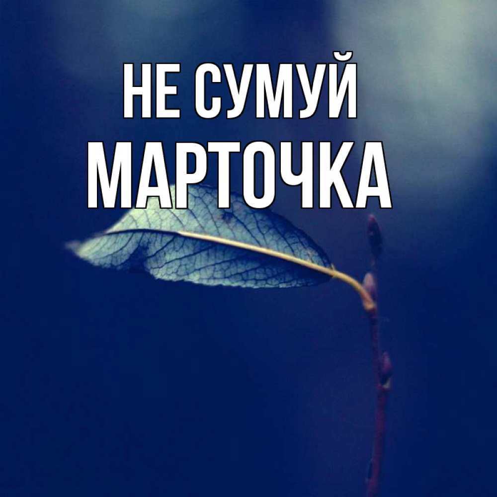 Открытка на каждый день з підписом, Марточка Не сумуй растение Прикольна листівка з побажанням онлайн скачати безкоштовно 