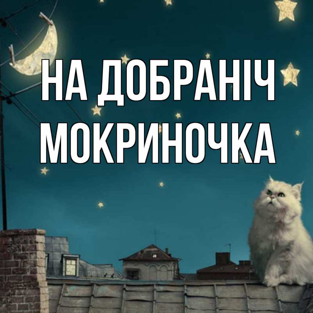 Открытка на каждый день з підписом, Мокриночка На добраніч белый кот сидит на крыше Прикольна листівка з побажанням онлайн скачати безкоштовно 