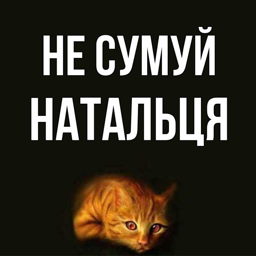 Открытка на каждый день з підписом, Натальця Не сумуй лежащий кот в темноте Прикольна листівка з побажанням онлайн скачати безкоштовно 