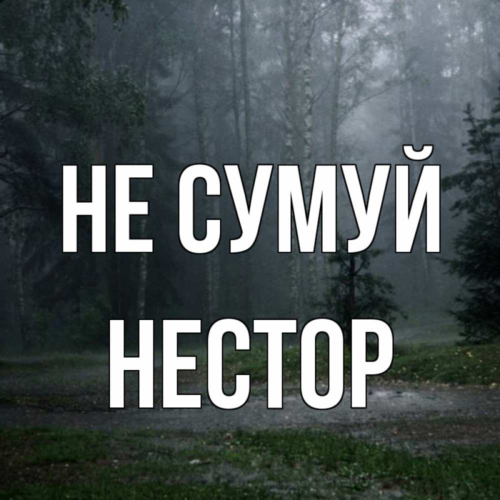 Открытка на каждый день з підписом, Нестор Не сумуй осень Прикольна листівка з побажанням онлайн скачати безкоштовно 