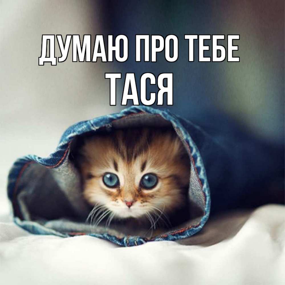 Открытка на каждый день з підписом, Тася Думаю про тебе мне без тебя плохо Прикольна листівка з побажанням онлайн скачати безкоштовно 