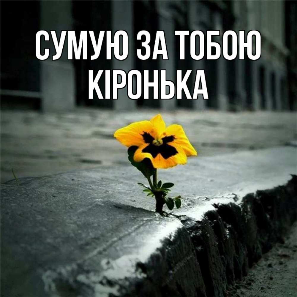 Открытка на каждый день з підписом, Кіронька Сумую за тобою надеюсь будет лучше Прикольна листівка з побажанням онлайн скачати безкоштовно 