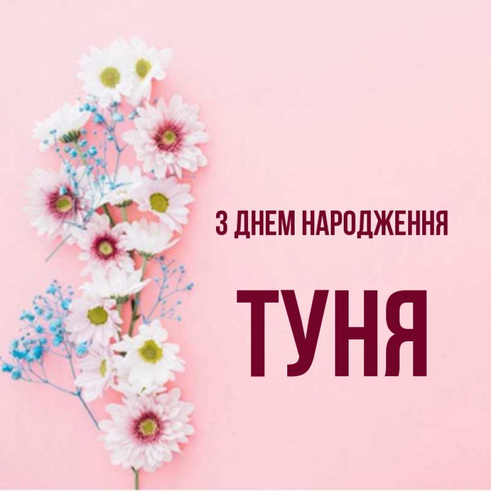 Открытка на каждый день з підписом, Туня З Днем народження Родная моя с днем рождения тебя картинка с цветами белыми и голубыми Прикольна листівка з побажанням онлайн скачати безкоштовно 