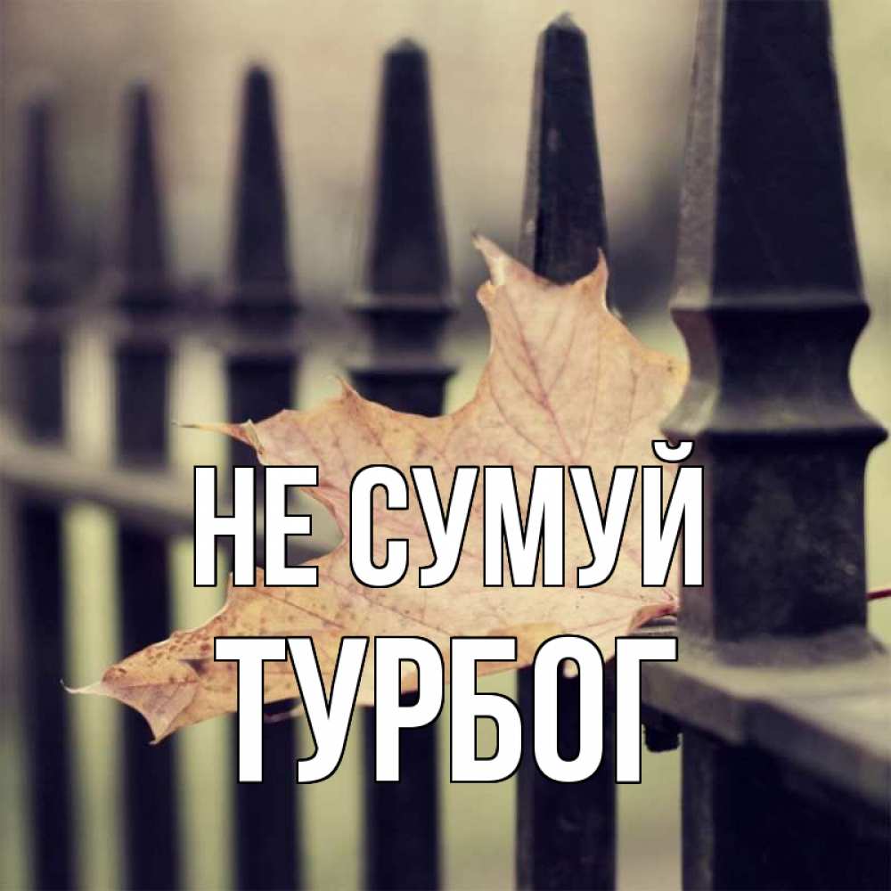 Открытка на каждый день з підписом, Турбог Не сумуй лист клена Прикольна листівка з побажанням онлайн скачати безкоштовно 