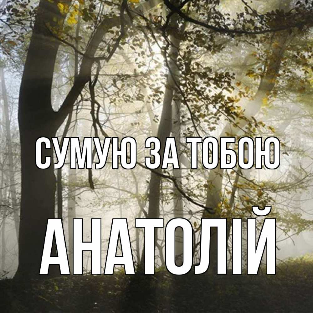 Открытка на каждый день з підписом, Анатолій Сумую за тобою грустно Прикольна листівка з побажанням онлайн скачати безкоштовно 