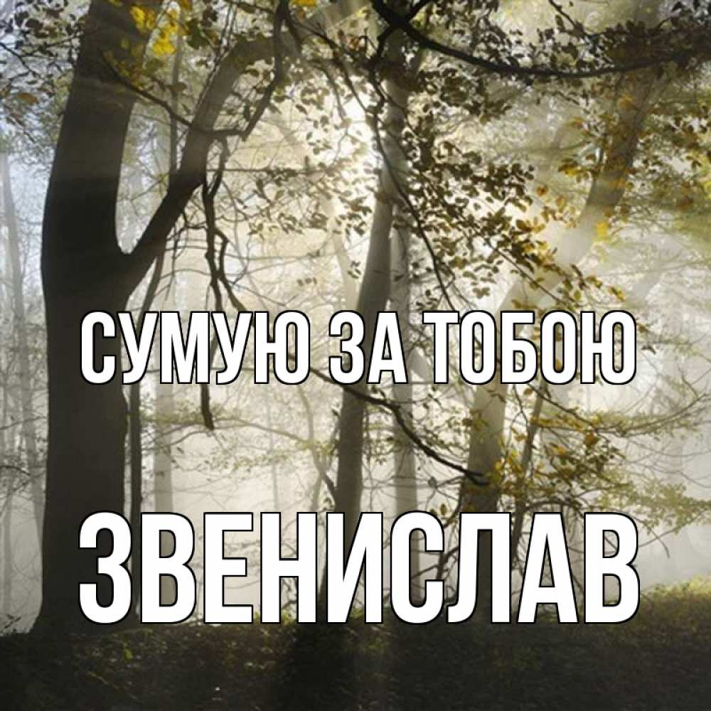 Открытка на каждый день з підписом, Звенислав Сумую за тобою грустно Прикольна листівка з побажанням онлайн скачати безкоштовно 