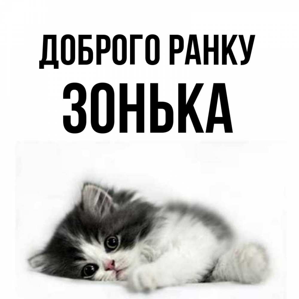 Открытка на каждый день з підписом, Зонька Доброго ранку кот лапки Прикольна листівка з побажанням онлайн скачати безкоштовно 