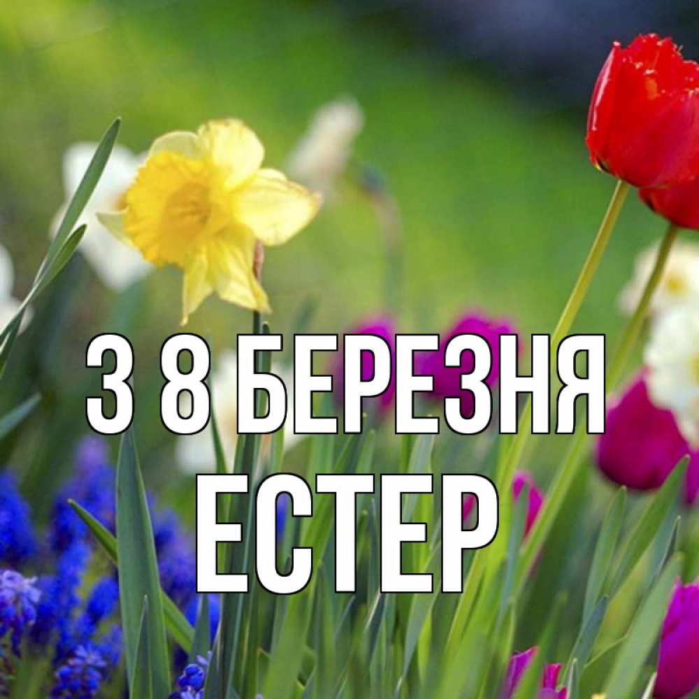 Открытка на каждый день з підписом, Естер З 8 БЕРЕЗНЯ международный женский день 3 Прикольна листівка з побажанням онлайн скачати безкоштовно 