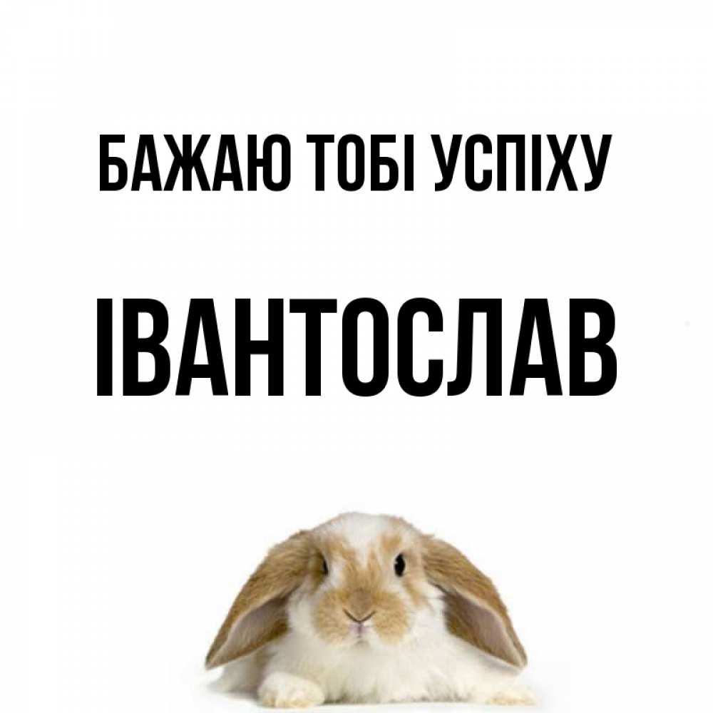 Открытка на каждый день з підписом, Івантослав Бажаю тобі успіху открытки с произвольным текстом который можно вставить в открытку и создать ее самостоятельно бесплатно онлайн Прикольна листівка з побажанням онлайн скачати безкоштовно 