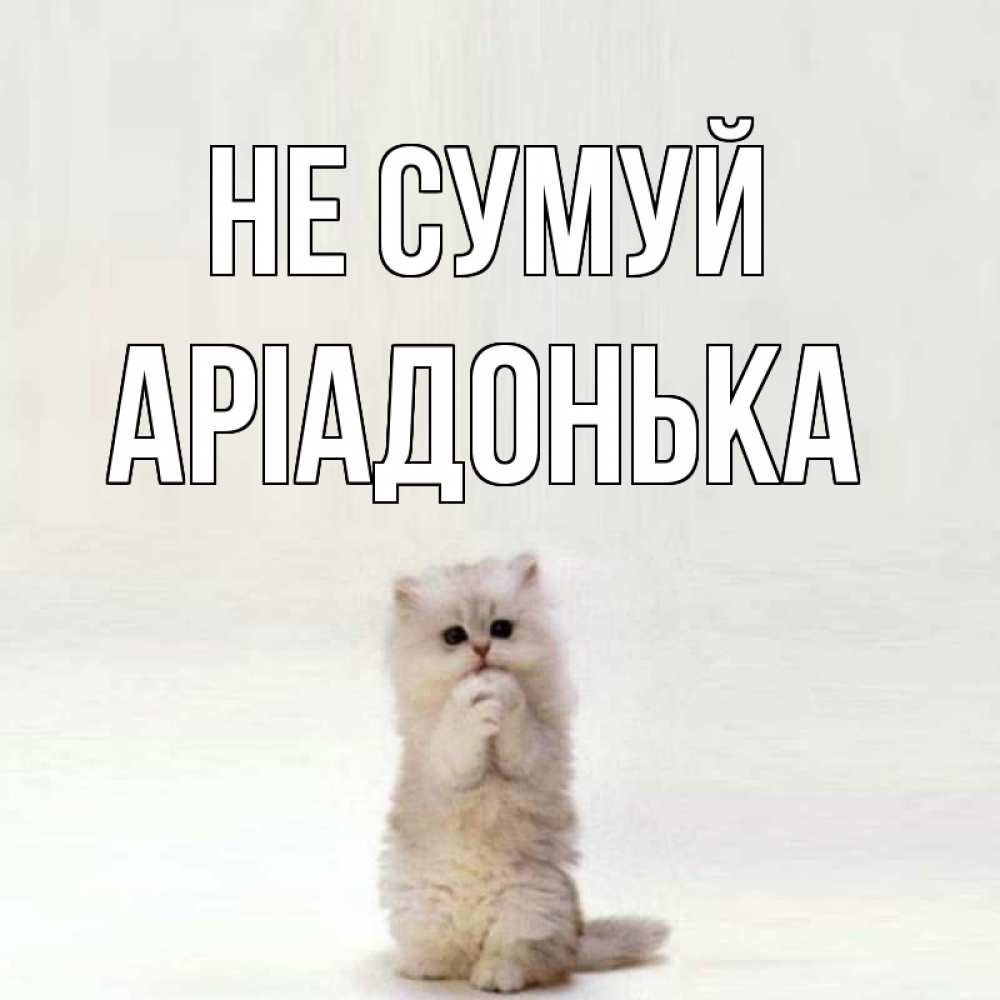 Открытка на каждый день з підписом, Аріадонька Не сумуй грустный кот Прикольна листівка з побажанням онлайн скачати безкоштовно 