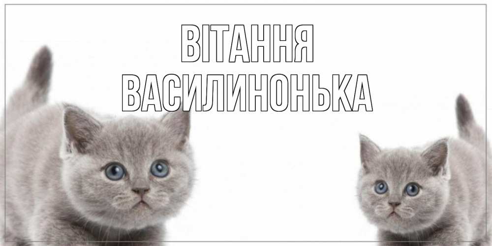 Открытка на каждый день з підписом, Василинонька Вітання коты Прикольна листівка з побажанням онлайн скачати безкоштовно 