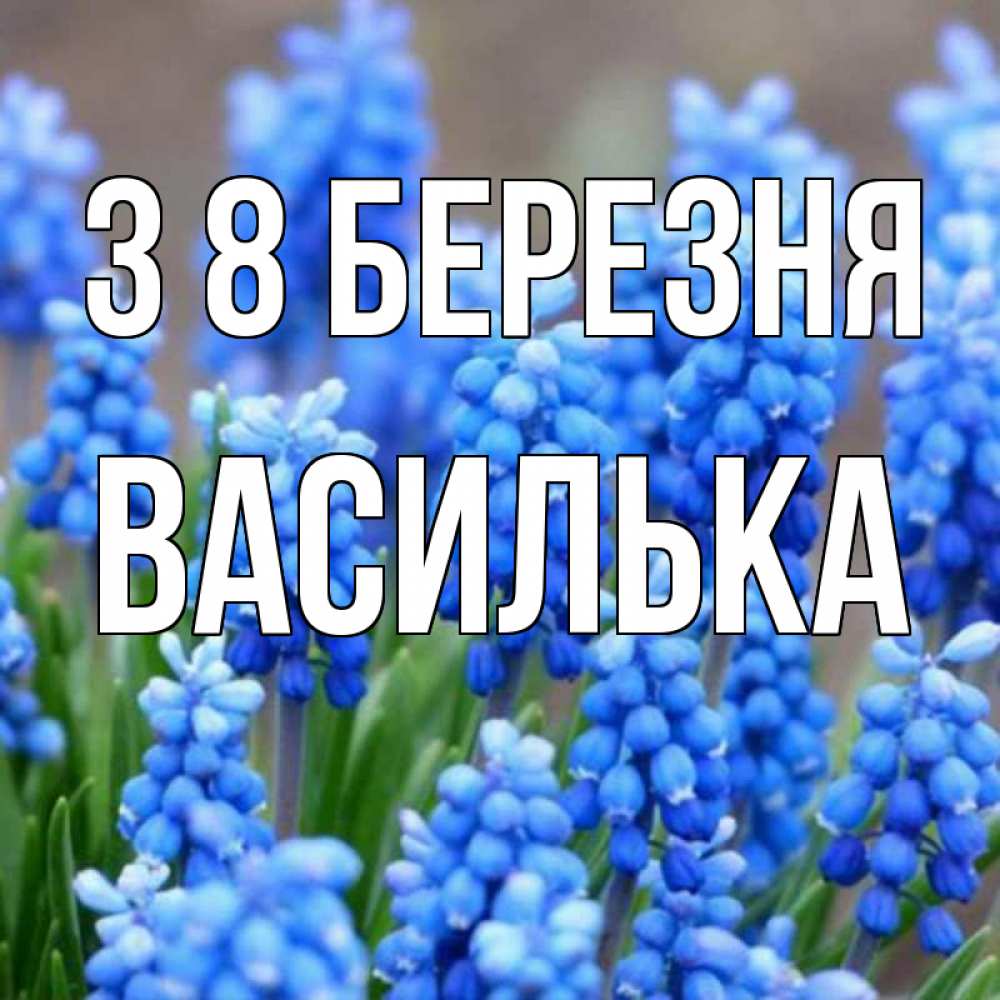 Открытка на каждый день з підписом, Василька З 8 БЕРЕЗНЯ Поздравительная открытка для женщин с цветами на праздничную дату Прикольна листівка з побажанням онлайн скачати безкоштовно 