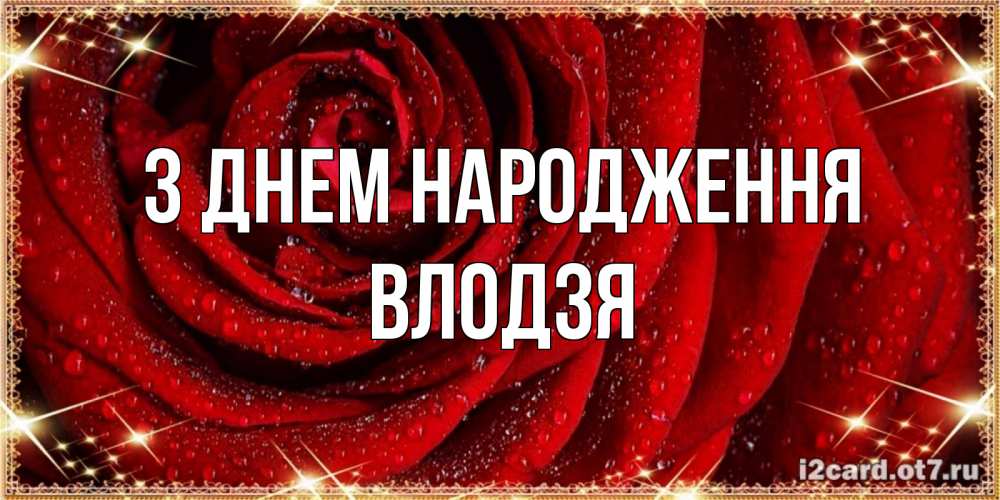 Открытка на каждый день з підписом, Влодзя З Днем народження роса на розе блестящая в лучах солнца Прикольна листівка з побажанням онлайн скачати безкоштовно 
