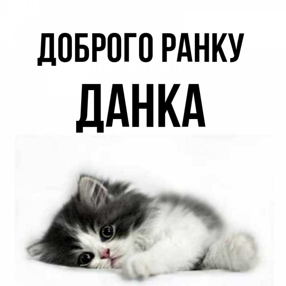 Открытка на каждый день з підписом, Данка Доброго ранку кот лапки Прикольна листівка з побажанням онлайн скачати безкоштовно 