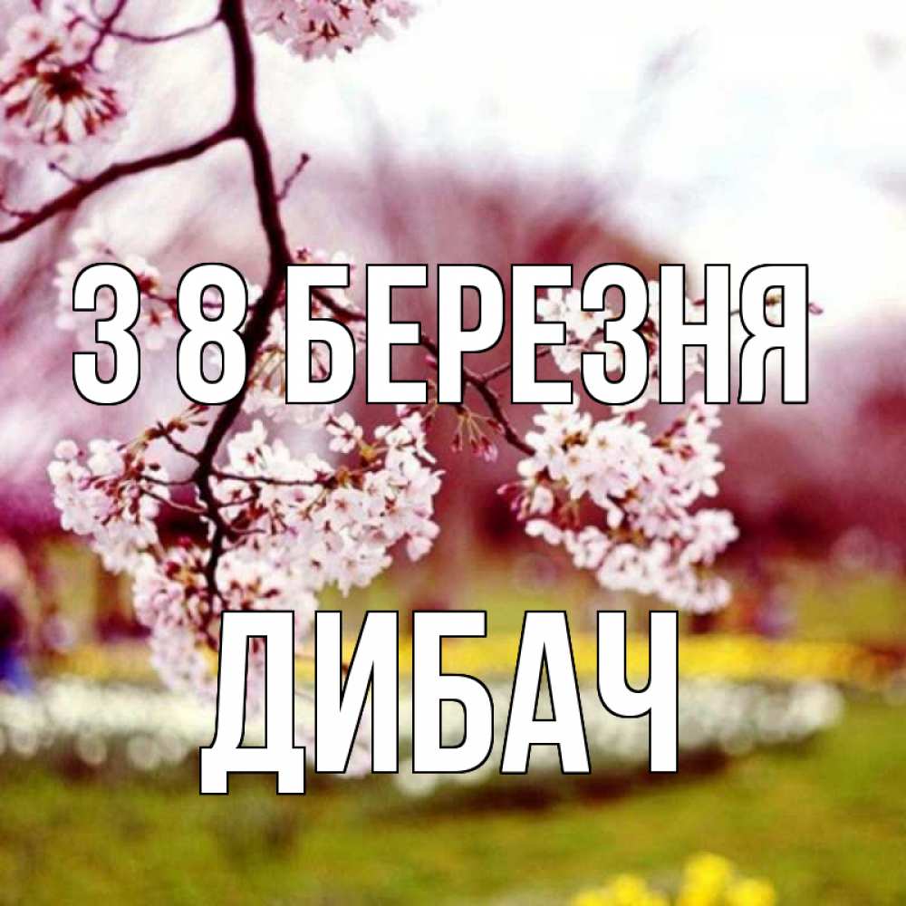 Открытка на каждый день з підписом, Дибач З 8 БЕРЕЗНЯ яблоня Прикольна листівка з побажанням онлайн скачати безкоштовно 