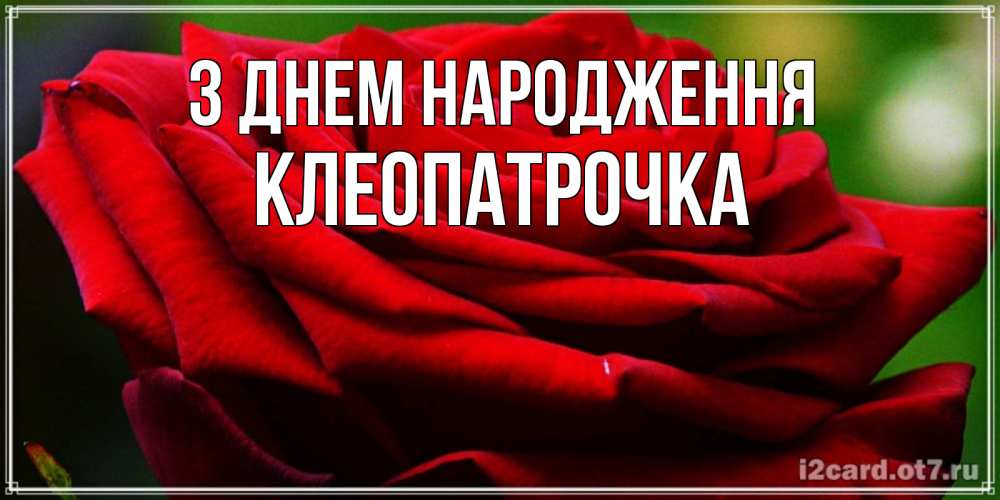 Открытка на каждый день з підписом, Клеопатрочка З Днем народження розочка очень красивая Прикольна листівка з побажанням онлайн скачати безкоштовно 