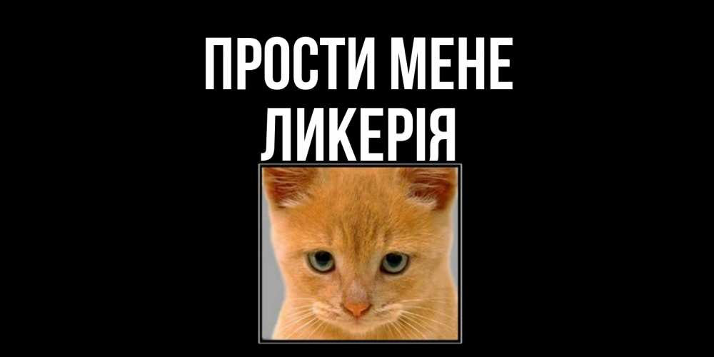 Открытка на каждый день з підписом, Ликерія Прости мене рыжий грустный кот просит прощения Прикольна листівка з побажанням онлайн скачати безкоштовно 