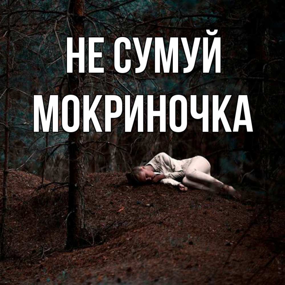 Открытка на каждый день з підписом, Мокриночка Не сумуй лес Прикольна листівка з побажанням онлайн скачати безкоштовно 