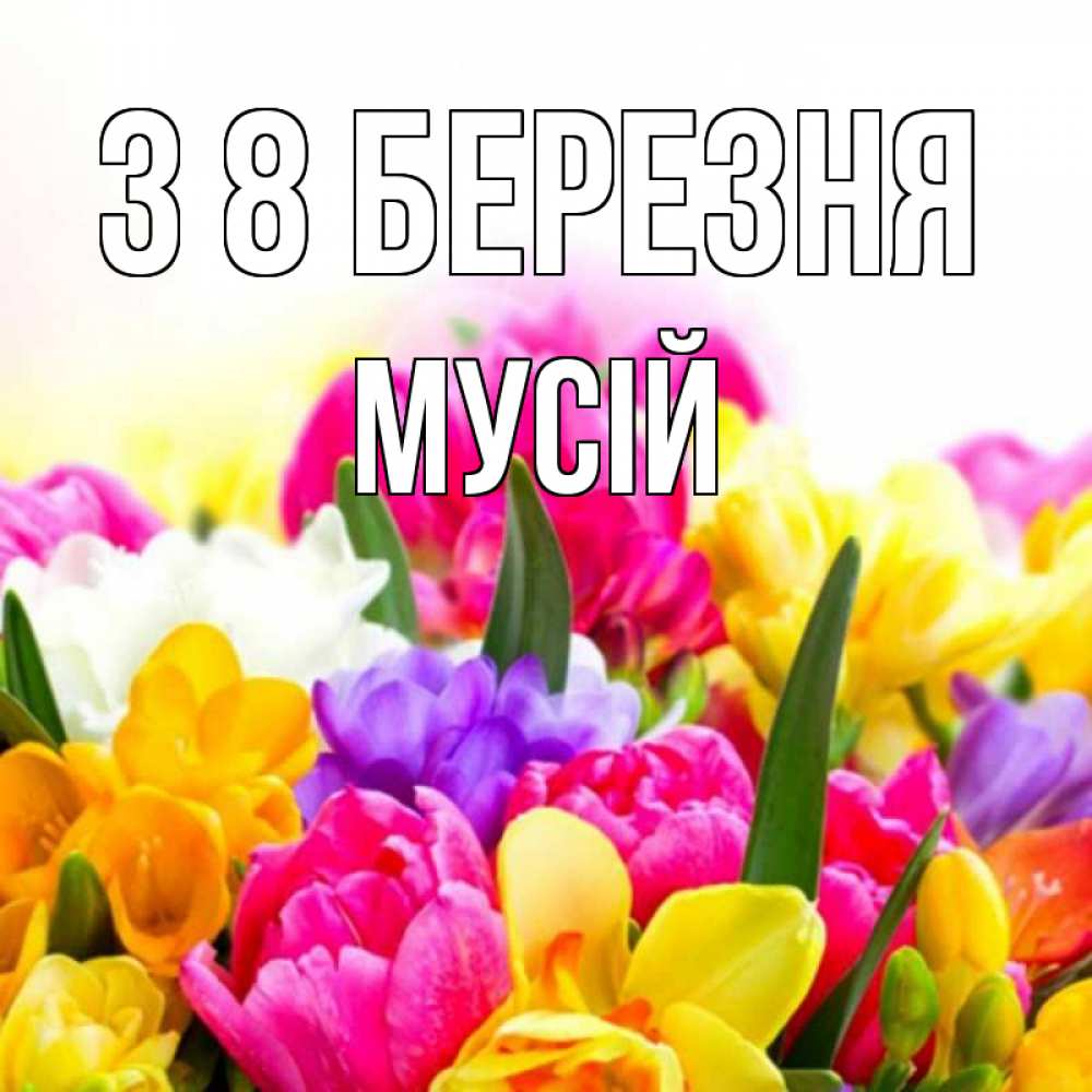 Открытка на каждый день з підписом, Мусій З 8 БЕРЕЗНЯ тюльпаны Прикольна листівка з побажанням онлайн скачати безкоштовно 
