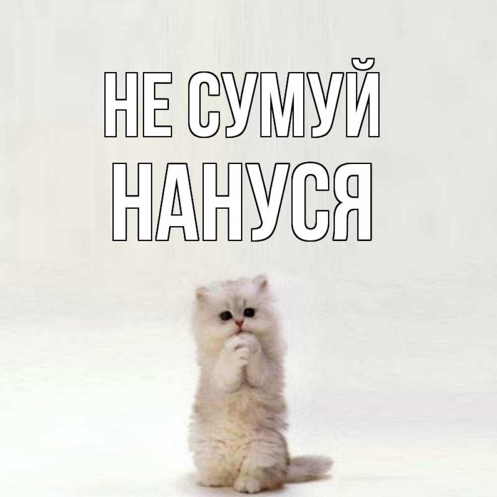 Открытка на каждый день з підписом, Нануся Не сумуй грустный кот Прикольна листівка з побажанням онлайн скачати безкоштовно 