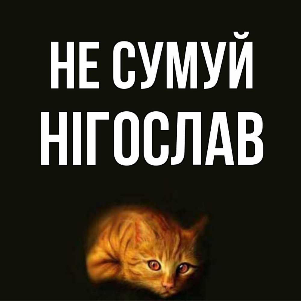 Открытка на каждый день з підписом, Нігослав Не сумуй лежащий кот в темноте Прикольна листівка з побажанням онлайн скачати безкоштовно 