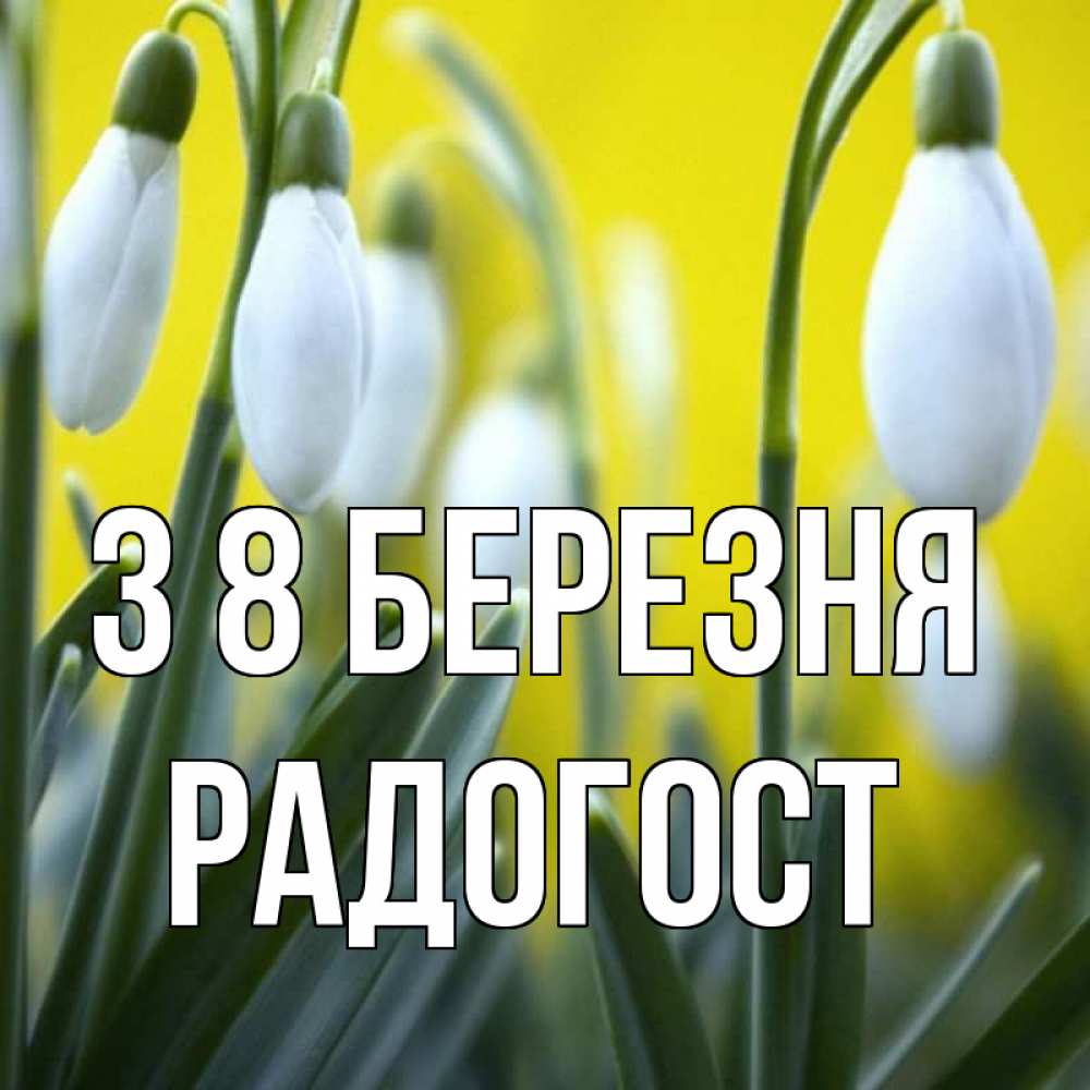Открытка на каждый день з підписом, Радогост З 8 БЕРЕЗНЯ весенние цветы Прикольна листівка з побажанням онлайн скачати безкоштовно 